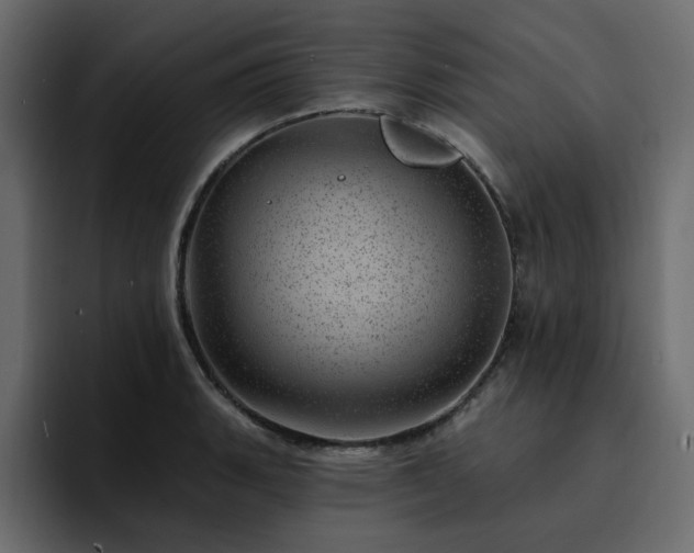 X0000095131135200712141151