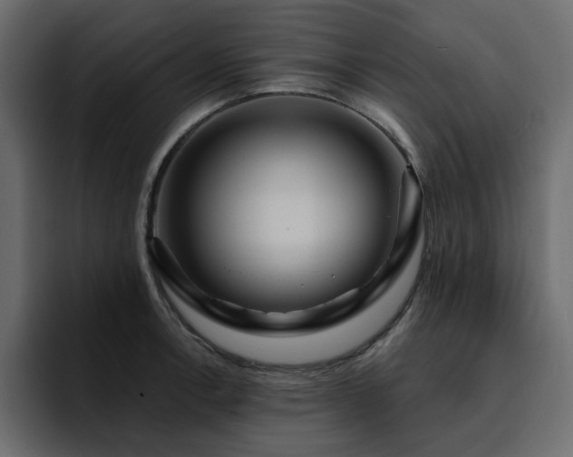 X0000095131138200712141151