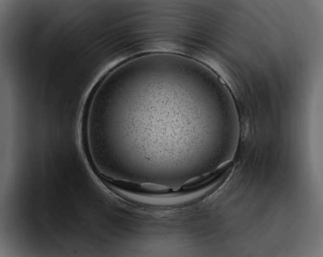 X0000095131139200712141151