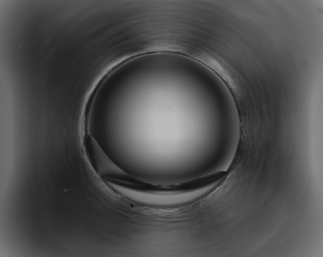 X0000095131140200712141151