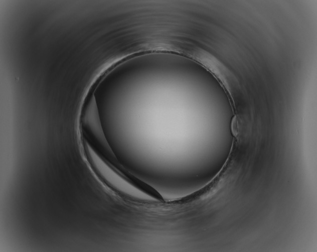 X0000095131141200712141151