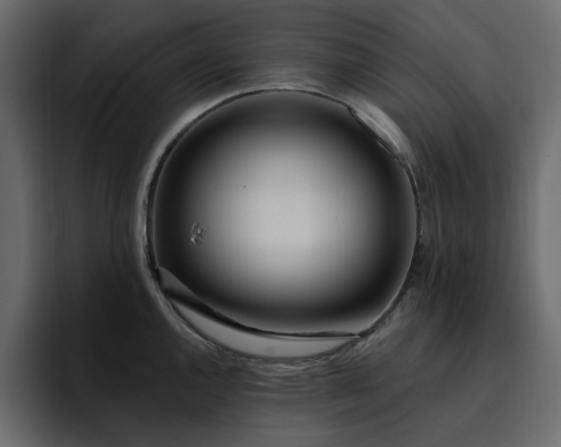 X0000095131144200712141151