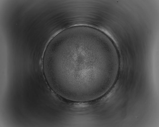 X0000095131145200712141151