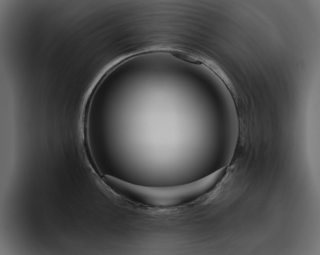 X0000095131148200712141151