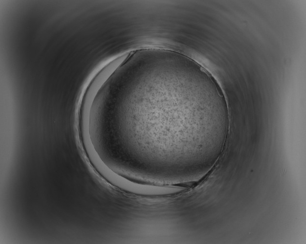 X0000095131152200712141151