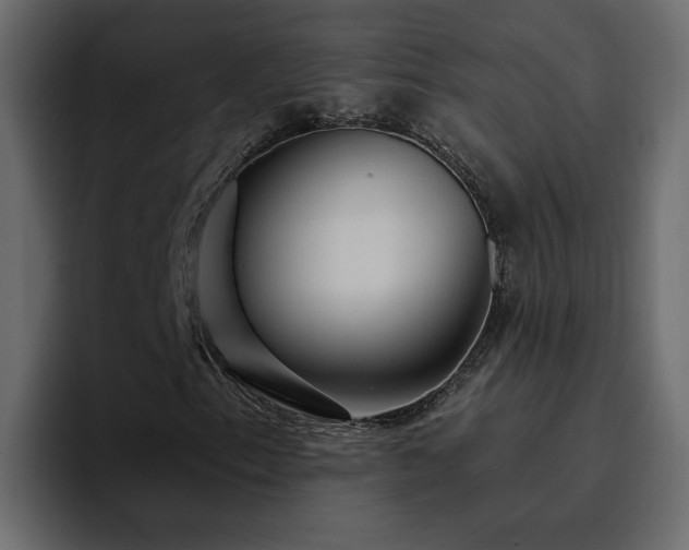 X0000095131153200712141151