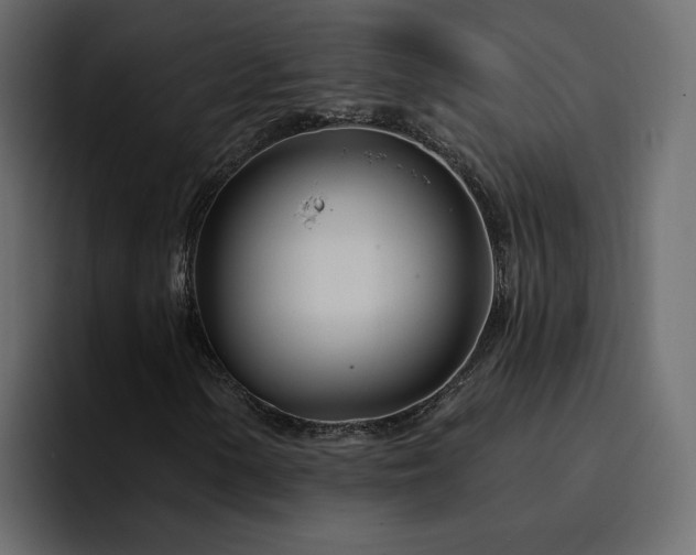 X0000095131154200712141151