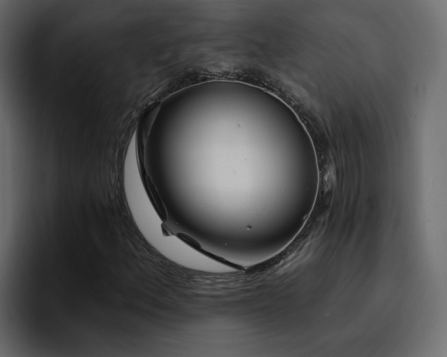 X0000095131156200712141151