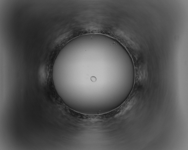 X0000095131157200712141151