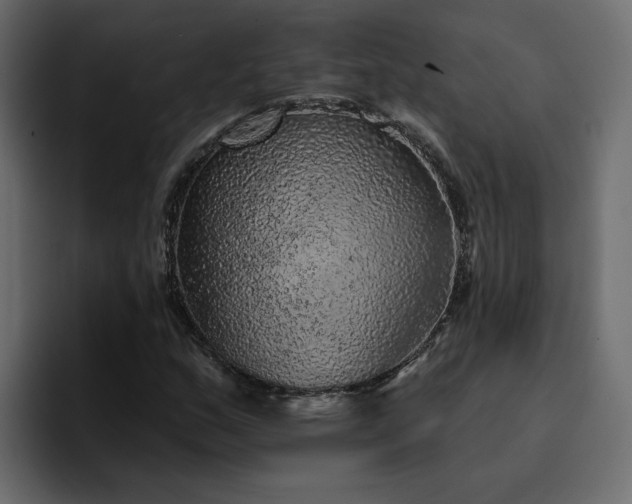 X0000095131159200712141151