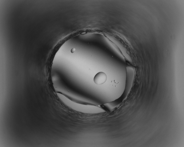 X0000095131160200712141151