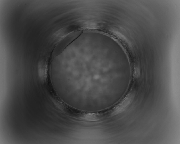 X0000095131161200712141151