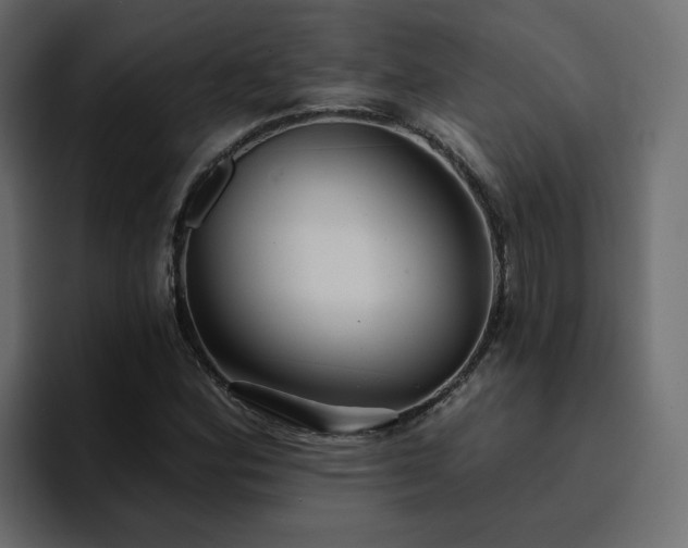 X0000095131164200712141150