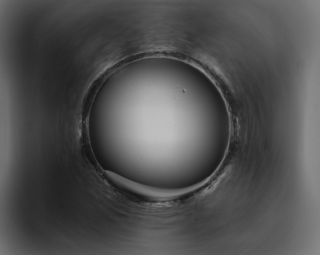 X0000095131165200712141150