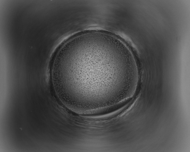 X0000095131167200712141150