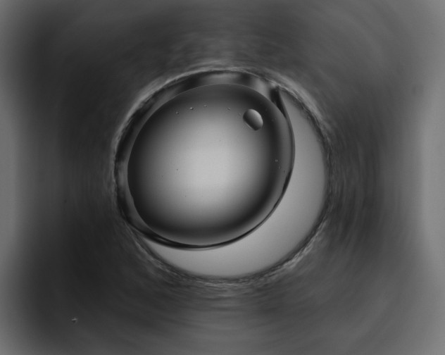 X0000095131168200712141150