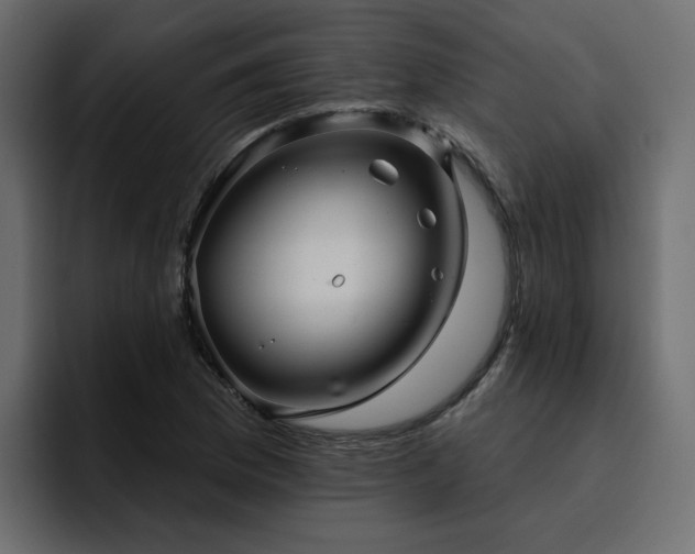 X0000095131169200712141150