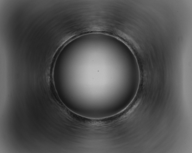 X0000095131170200712141150