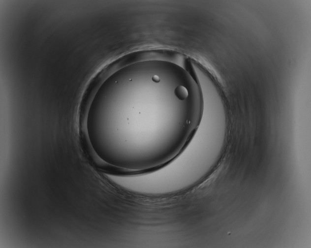 X0000095131173200712141150