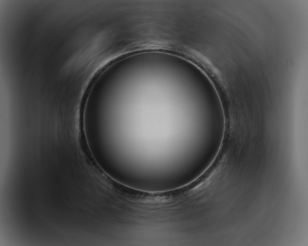 X0000095131174200712141150