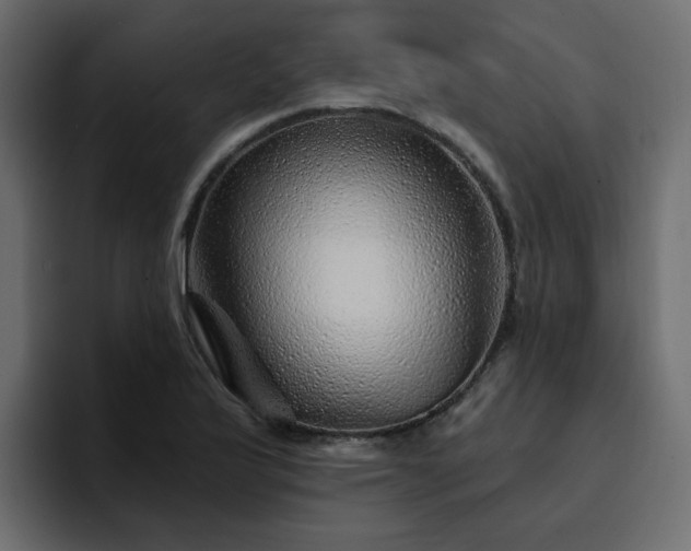 X0000095131175200712141150