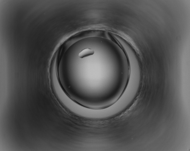 X0000095131176200712141150