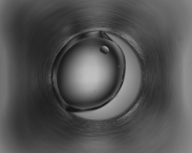 X0000095131177200712141150