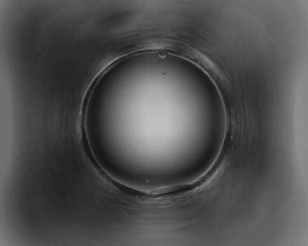 X0000095131178200712141150