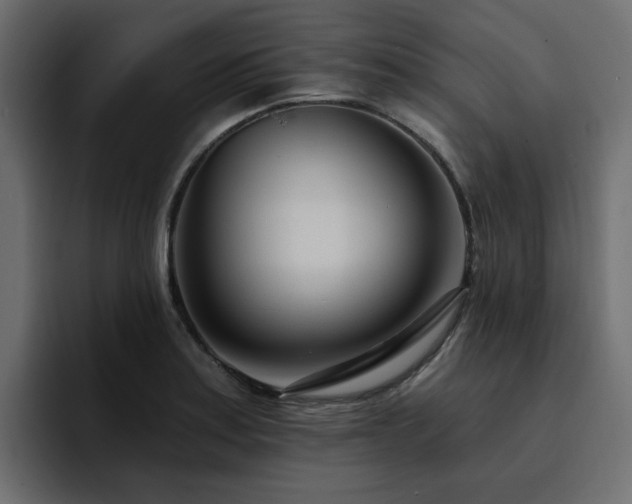 X0000095131179200712141150