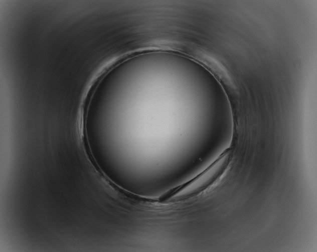 X0000095131180200712141150