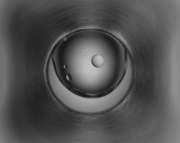 X0000095131181200712141150