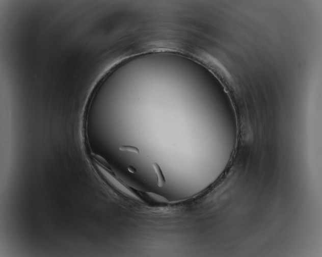 X0000095131182200712141150