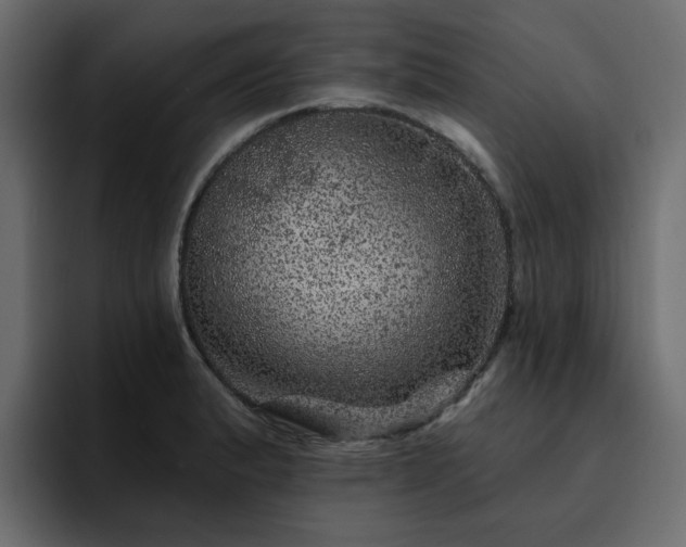 X0000095131183200712141150