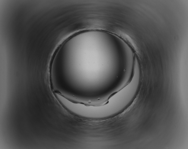 X0000095131184200712141150