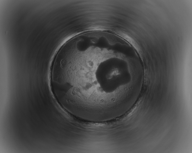 X0000095131187200712141150