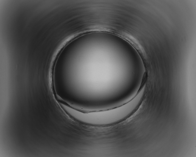 X0000095131188200712141150