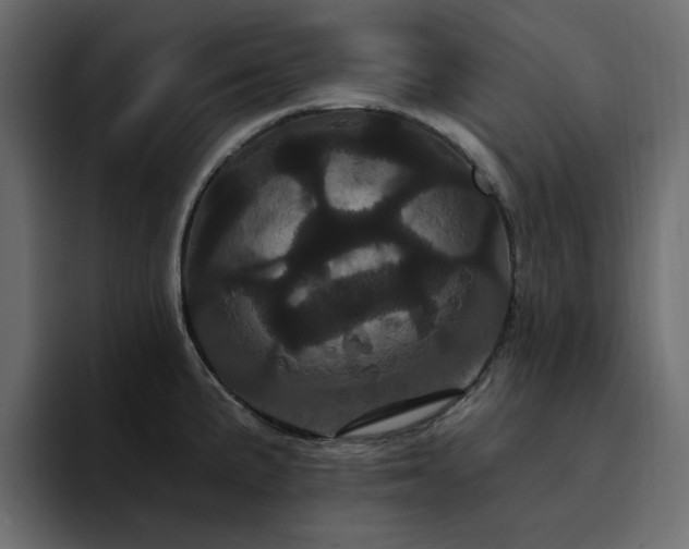 X0000095131191200712141150