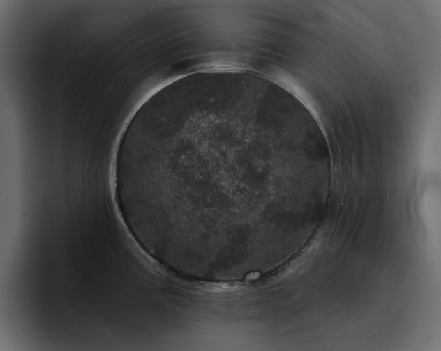 X0000095131195200712141150