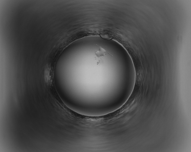 X0000095131202200712141149