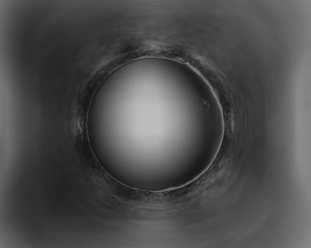 X0000095131206200712141149