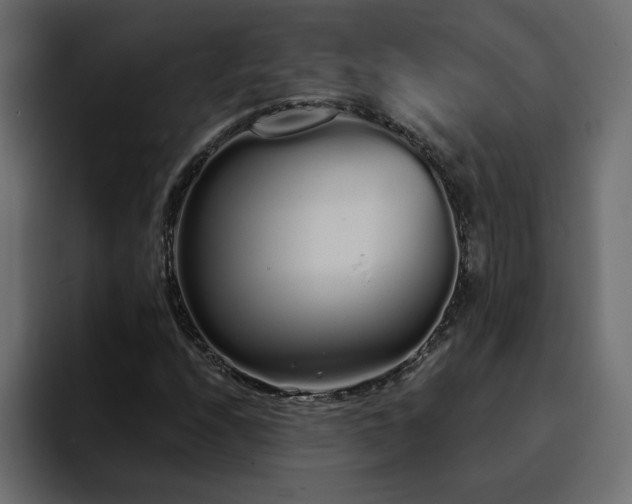 X0000095131208200712141149