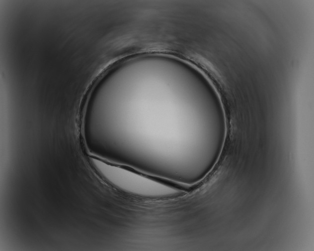 X0000095131212200712141150