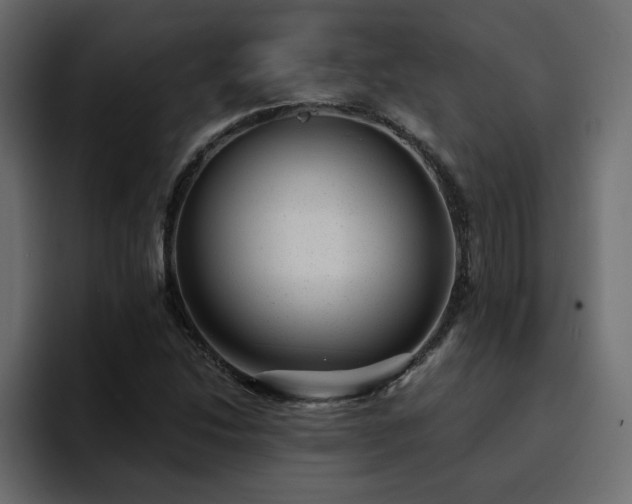 X0000095131214200712141150