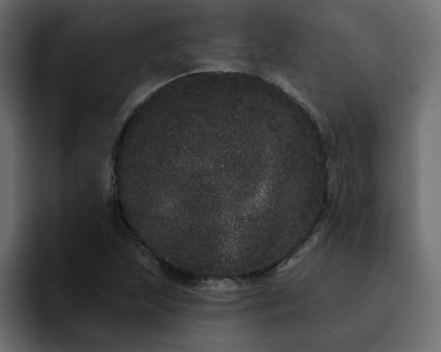 X0000095131215200712141150