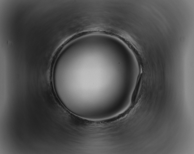 X0000095131216200712141150