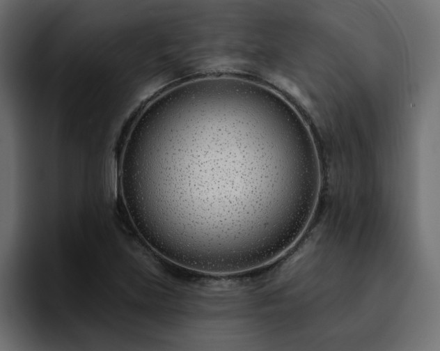 X0000095131219200712141150