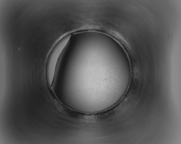 X0000095131220200712141150