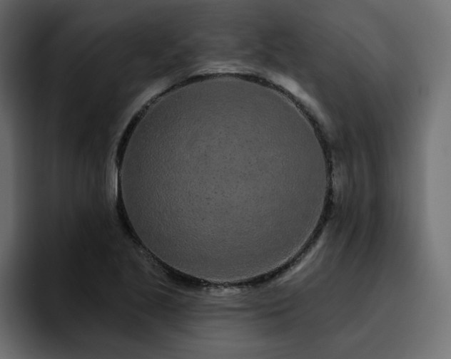 X0000095131221200712141150