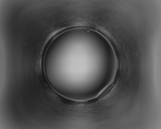 X0000095131222200712141150