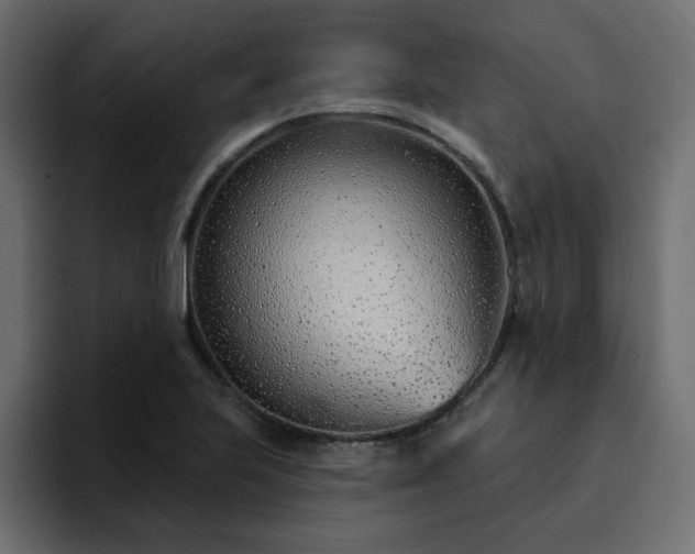 X0000095131223200712141150